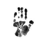 grandma's hand print 