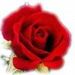 Bernice Mcmullen Obituary Photo
