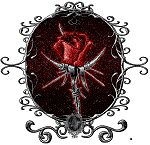 just a simple red rose 