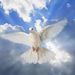 Phyllis H Ramey Obituary Photo