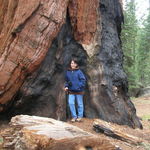 Vicki in Yosemite National Park, 2007