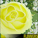 flowers logo