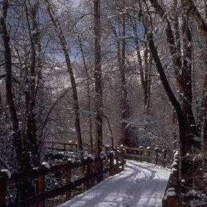 Joyce E. Handwork