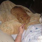 Mom and her buddy Sammy who got many belly rubs