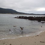 Carmel By the sea
