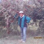 Apple picking in New York