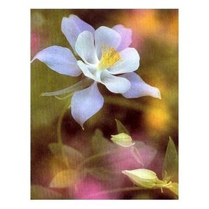 Gladys E. (Grandma) Bradley