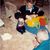 Carlos y Chris Christmas 1989