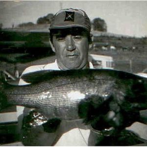 Louie Lee Smith