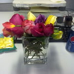 Karen Loved her Pepsi, Lemon Drops, and Fresh Flowers in the Office