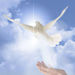 Agnes M. Brown Obituary Photo