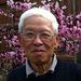 Tuk Mei Luk Obituary Photo