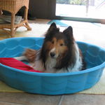 Before the big pool

