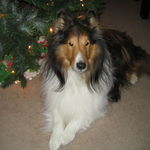 Waiting for Santa