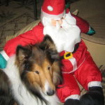 Santa's helper