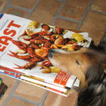 Dreaming of Turkey Day