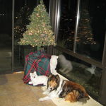 Christmas is coming soon