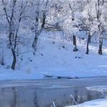 Chul Soo Kim