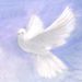 Michele Ann Dobler Obituary Photo