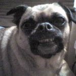Jeff's baby Lou-Anne (BooBoo).. He loved when she smiled, and she always smiled for him.