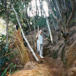 Papa hiking down to a beach on the North Shore of Kauai.