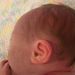 Dylan Alexander Cosbey Obituary Photo