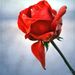 G. Marilyn Watson Obituary Photo