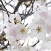 Martha Lozeau Obituary Photo