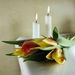 Alice Margaret Banik Moore Obituary Photo