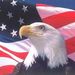 Tom J. Jaris Obituary Photo