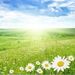 Barbara Jane Higgins Obituary Photo