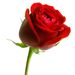 Elsa Maria Lopez Rivera Obituary Photo