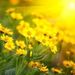 Lorraine Johns Obituary Photo