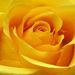 Mary Lou Shabinaw Obituary Photo