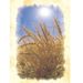Leonard Leon Simms Obituary Photo