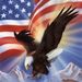 Clark R. "Butch" Royer Obituary Photo