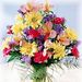 Louise M.  Bologna Obituary Photo