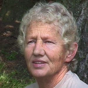 Judy C. Todd