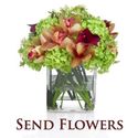  Send Flowers 