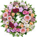 Frieda A. (nee Berg) Sprockhoff Obituary Photo
