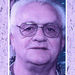 Alden A. Plude Obituary Photo