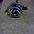 This rose is for Daysha. I will make two, one for you Nikki and one for her to take to heaven. 