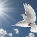 Loretta M. Mann Obituary Photo