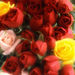Helen M. Tighe Obituary Photo