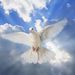 Olga Oleksa Obituary Photo