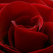 Ruth Woodley Byrd Obituary Photo