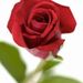 Frances M. Martorano Obituary Photo