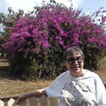 Mary Ellen in Australia,2003.Wich is prettier,the lady or the bush?