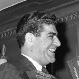 Joe Mooshil