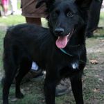 Lucy